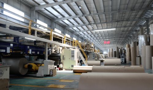 紙板 投資1.2億的包裝項目加快建設(shè),項目一期已先行投產(chǎn)