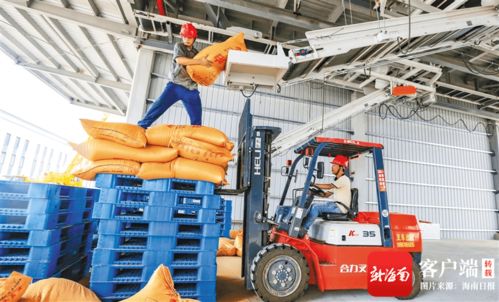 海南洋浦 澳斯卡國(guó)際糧油加工廠(chǎng)主生產(chǎn)線(xiàn)試生產(chǎn)